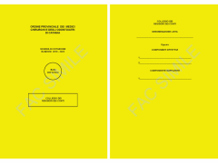 SCHEDA-GIALLA-REVISORI-FAC-SIMILE